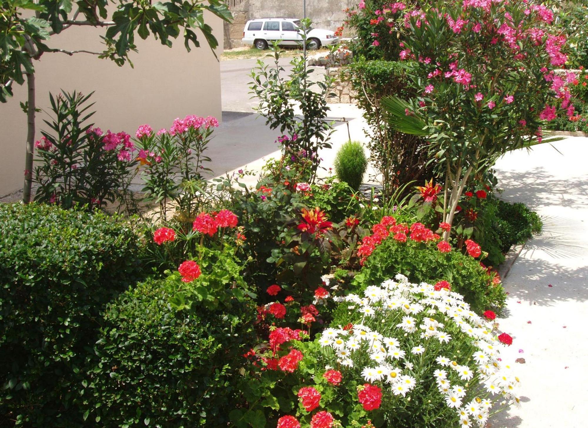 Apartments With A Parking Space Povljana, Pag - 228 Bagian luar foto